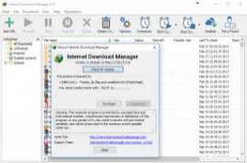 Internet Download Manager